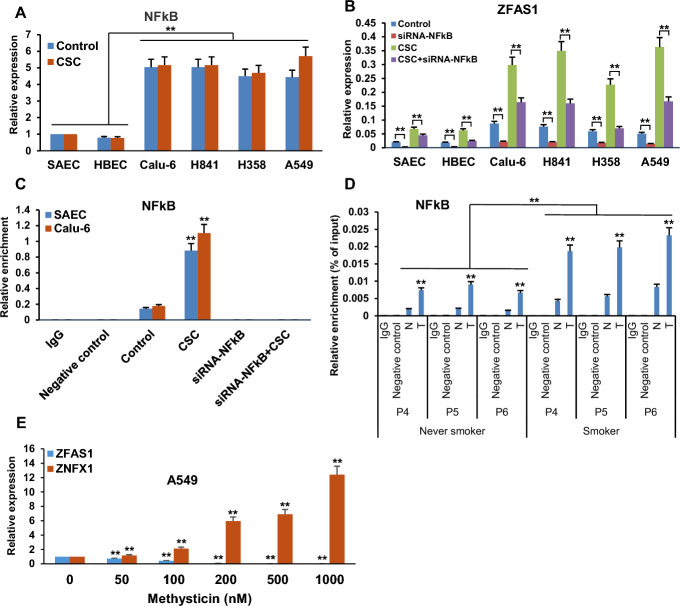 Repression of ZNFX1 by LncRNA ZFAS1 mediates tobacco-induced pulmonary carcinogenesis.
