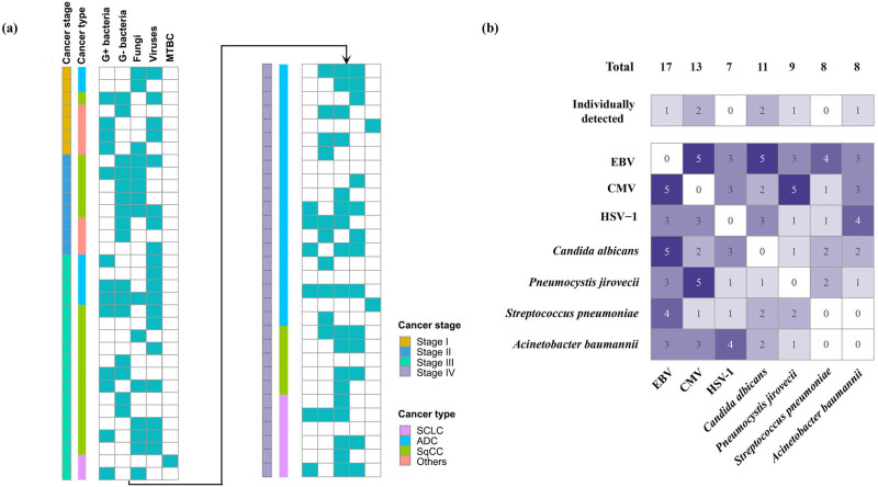 Pathogen surveillance and risk factors for pulmonary infection in patients with lung cancer: A retrospective single-center study.