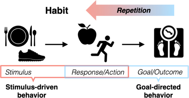 Exploring Habits in Anorexia Nervosa: Promise, Pitfalls, and Progress.