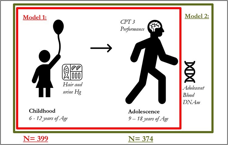 Interaction of mercury exposure and DNA methylation with sustained attention in children in a novel analysis of epigenetic susceptibility.