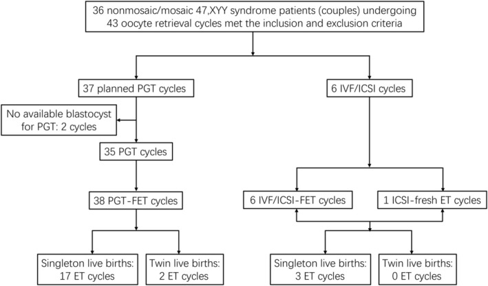 Preimplantation genetic testing might not be the necessity for male patients with 47,XYY syndrome: A pilot study.