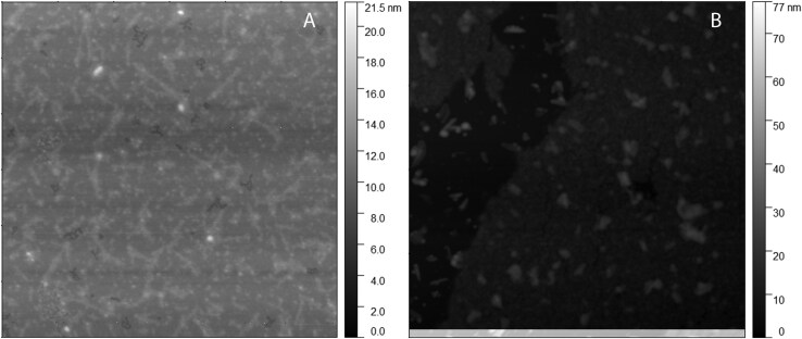 Comparative microscopic analysis of plastic dispersion from 3D-printed and thermoformed orthodontic aligners.