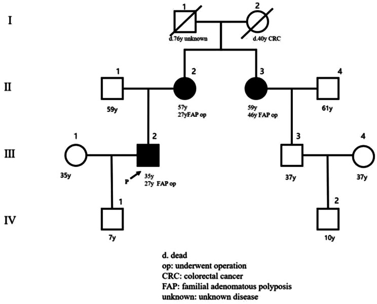 Family adenomatous polyposis come across dome type adenocarcinoma: a case report and literature review.