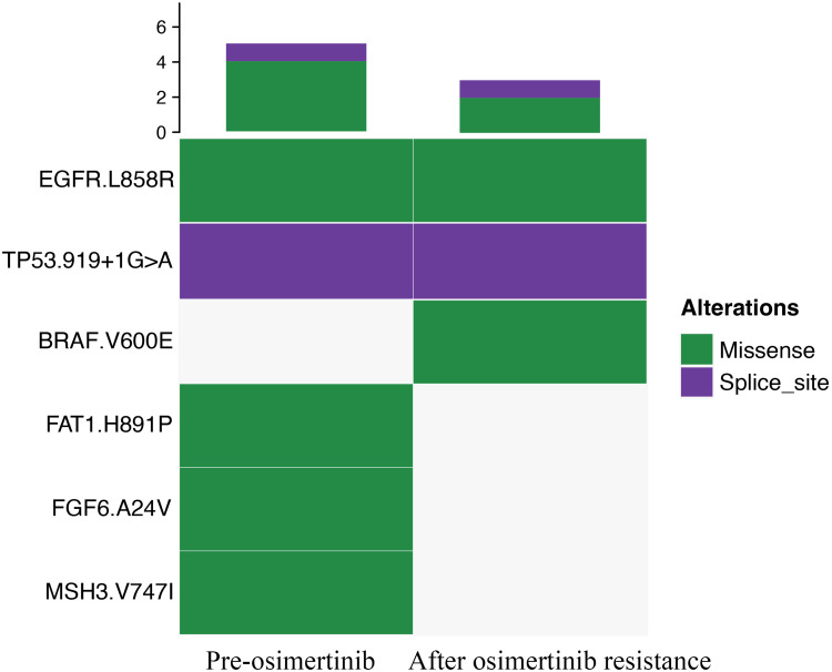 Combination of Aumolertinib, Dabrafenib, and Trametinib for a Patient with Advanced Lung Adenocarcinoma with an Osimertinib-Induced BRAF V600E Mutation: A Case Report.