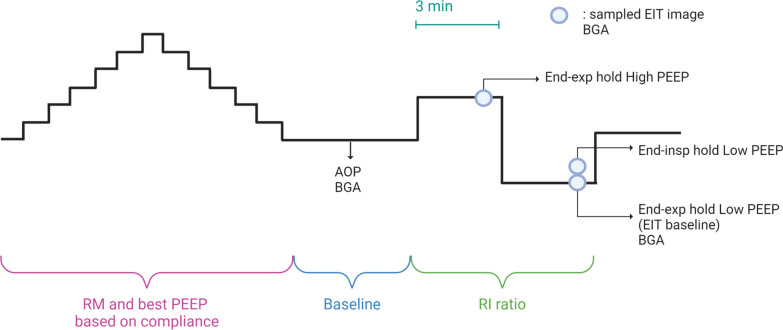 Intracranial response to positive end-expiratory pressure is influenced by lung recruitability and gas distribution during mechanical ventilation in acute brain injury patients: a proof-of-concept physiological study.
