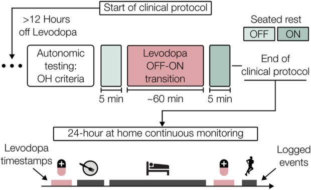 Wearable multimodal sensing for quantifying the cardiovascular autonomic effects of levodopa in parkinsonism.