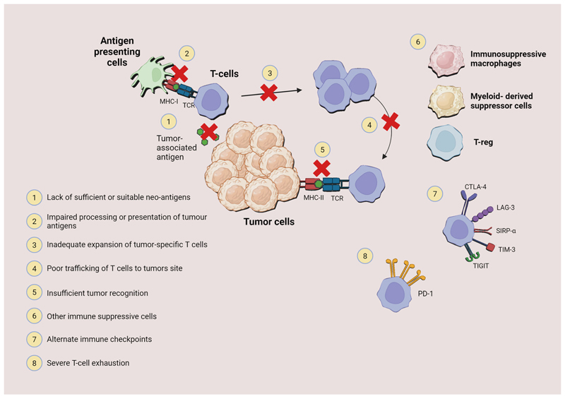 Improving immunotherapy for the treatment of hepatocellular carcinoma: learning from patients and preclinical models.