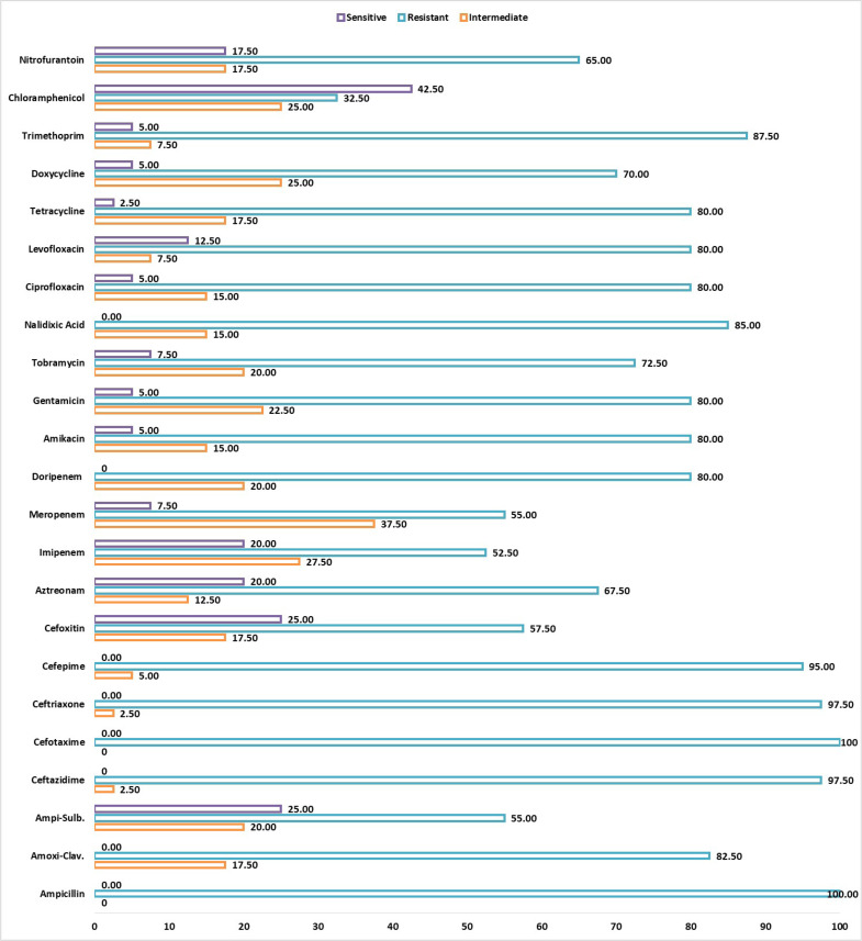 Phenotypic and genotypic characterization of carbapenemase-producing <i>Escherichia coli</i> clinical isolates in Thi-Qar, Iraq.
