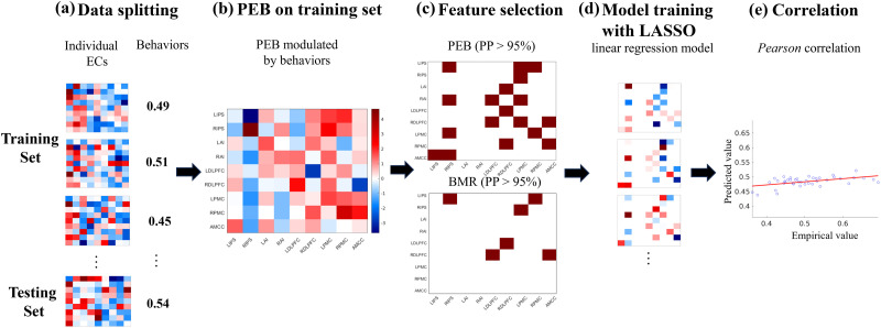 Predicting response speed and age from task-evoked effective connectivity.