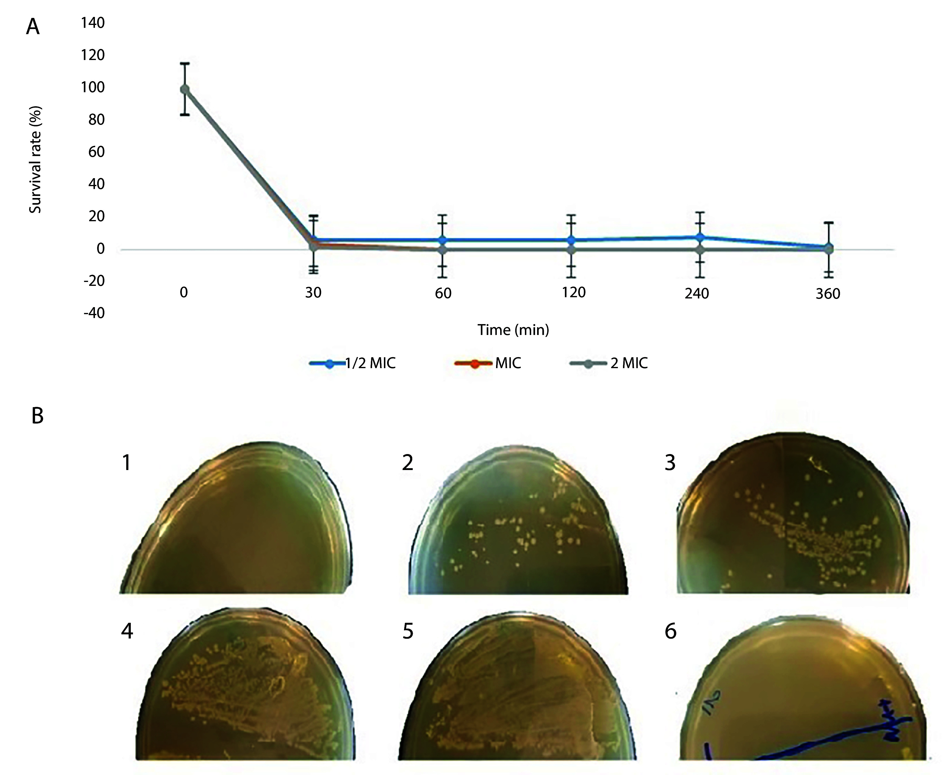 Evaluation of Antimicrobial Activity of Novel Chimeric M-PEX12 Peptide Against <i>Acinetobacter baumannii</i>.