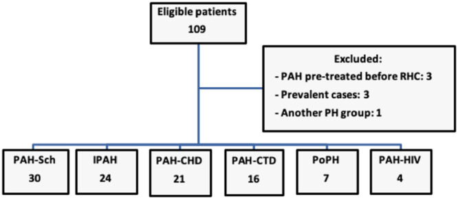 Morbidity and Mortality Associated With Pulmonary Arterial Hypertension in a Schistosomiasis-Endemic Region of Brazil.
