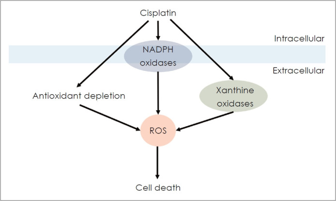 Assessment and Management of Chemotherapy-Induced Ototoxicity in Children.