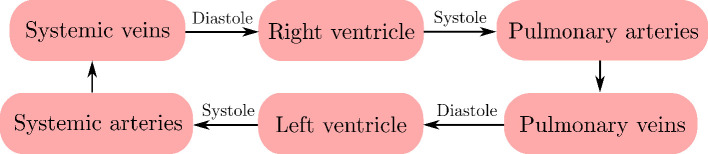 InVAErt networks for amortized inference and identifiability analysis of lumped-parameter haemodynamic models.