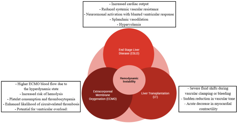 Hemodynamic Monitoring During Liver Transplantation for Patients on Perioperative Extracorporeal Membrane Oxygenation (ECMO) Support: A Narrative Review.
