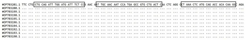 Design and assessment of a multiplex real-time PCR method for simultaneous detection and differentiation of COVID-19 and Influenza A/B.