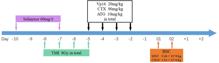 Haploidentical Hematopoietic Stem Cell Transplantation for Relapsed/Refractory Extramedullary Multiple Myeloma: A Conditioning Regimen Combining Selinexor and Helical Tomotherapy-A Case Report and Literature Review.