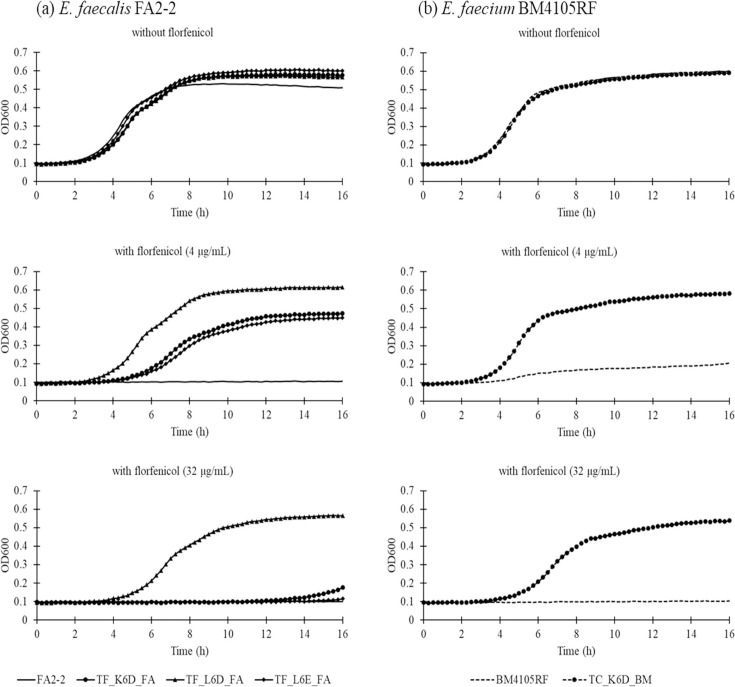 Selection and maintenance of mobile linezolid-resistance genes and plasmids carrying them in the presence of florfenicol, an animal-specific antimicrobial.