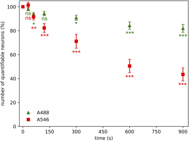 Photobleaching alters the morphometric analysis of fluorescently labeled neurons and microglial cells.