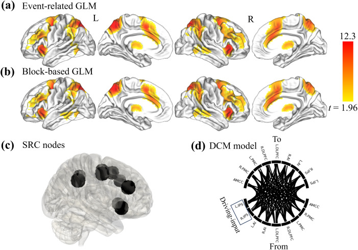 Predicting response speed and age from task-evoked effective connectivity.