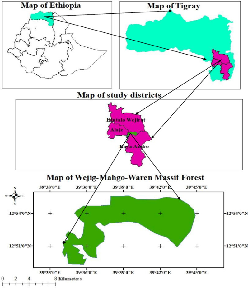 Local people's interaction with Wejig-Mahgo-Waren Massif Forest in Southern Tigray, Ethiopia.