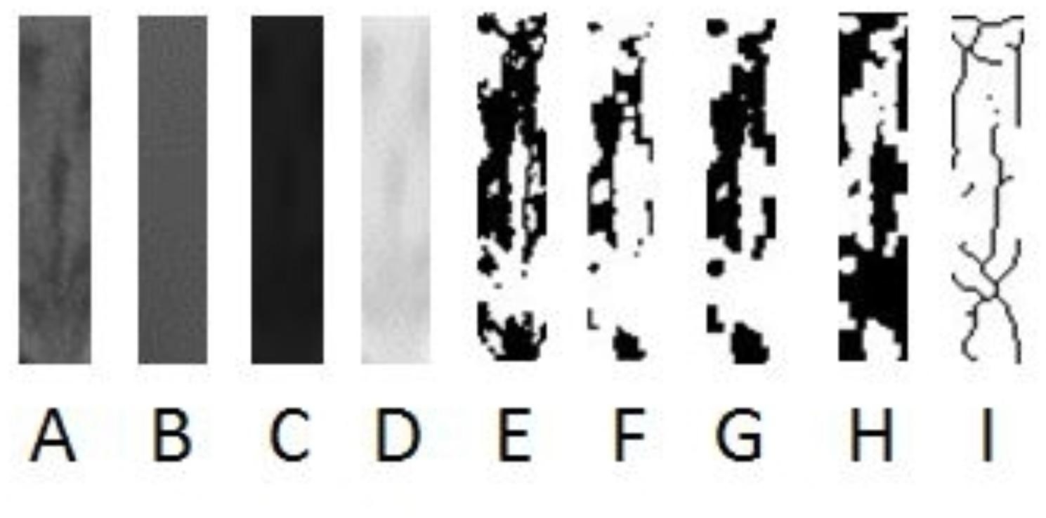Abstract Image