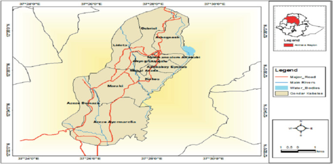 Spatial Epidemiology of Clinical Forms of Cutaneous Leishmaniasis and Treatment Practice: Evidence from Leishmaniasis Research and Treatment Center, Northwest Ethiopia.