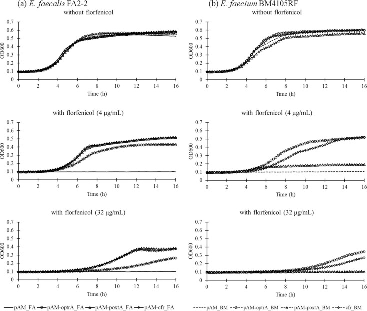 Selection and maintenance of mobile linezolid-resistance genes and plasmids carrying them in the presence of florfenicol, an animal-specific antimicrobial.