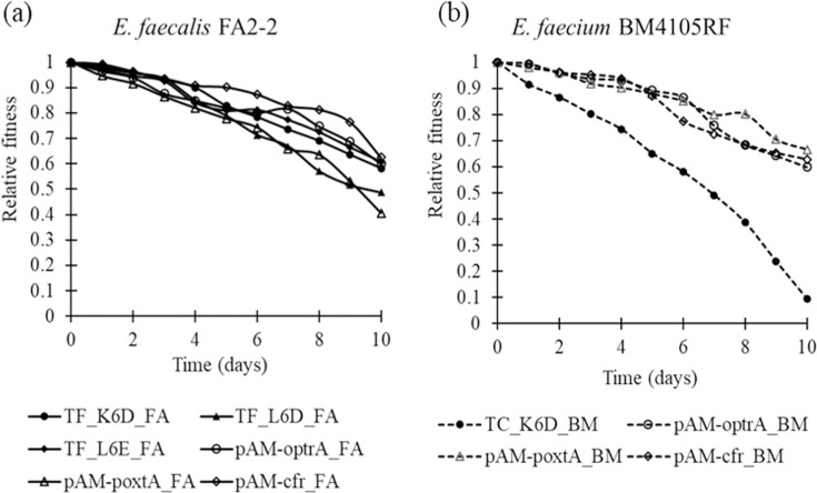 Selection and maintenance of mobile linezolid-resistance genes and plasmids carrying them in the presence of florfenicol, an animal-specific antimicrobial.