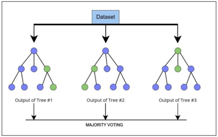 An Ensemble Machine Learning Model for Early Prediction of Vancomycin-Induced Acute Kidney Injury in ICU Patients.