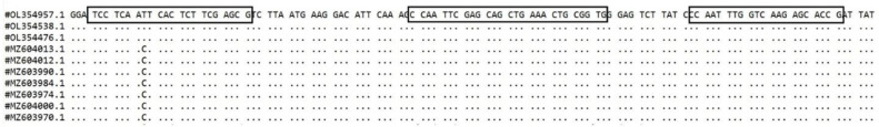 Design and assessment of a multiplex real-time PCR method for simultaneous detection and differentiation of COVID-19 and Influenza A/B.
