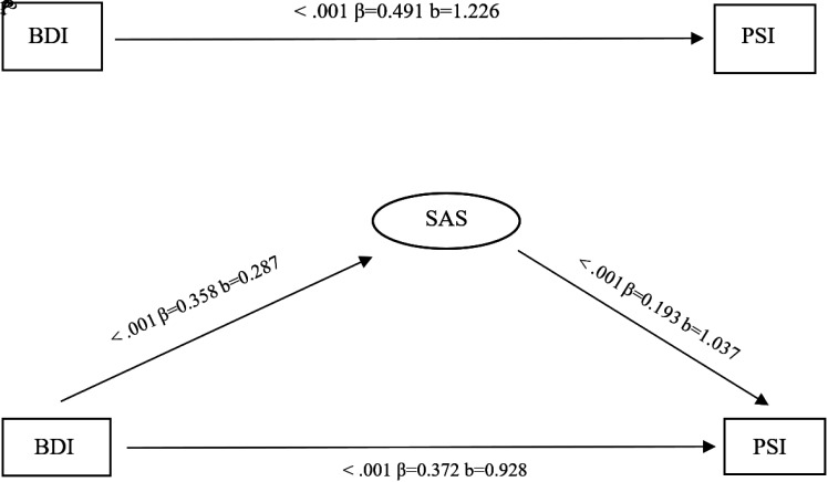 The Mediating Role of Somatic Symptoms in the Effect of Depression on Problem-Solving Skills.