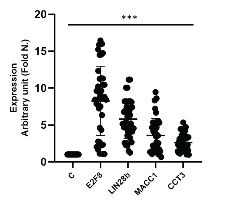 Prognostic Significance of <i>E2F8, LIN28b, MACC1</i>, and <i>CCT3</i> Genes in Breast Cancer: Implications for Survival and Therapeutic Stratification.