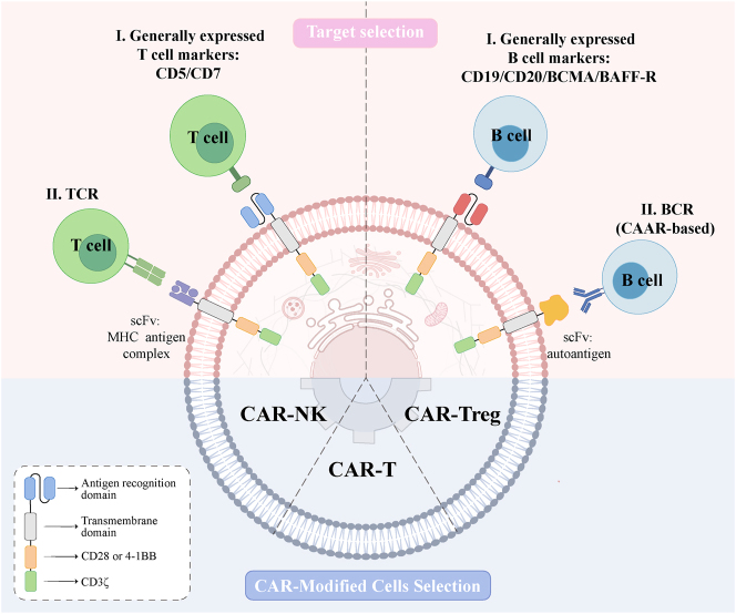 Can chimeric antigen receptors - based therapy bring a gleam of hope for thyroid-associated ophthalmopathy and other autoimmune diseases?
