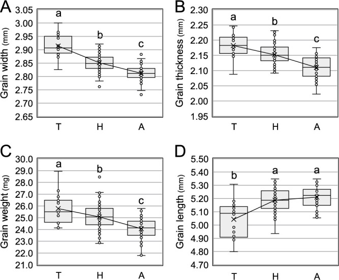 Loss of <i>GW5</i> function is involved in the unique grain shape of "Tanpo", a Japanese landrace rice.