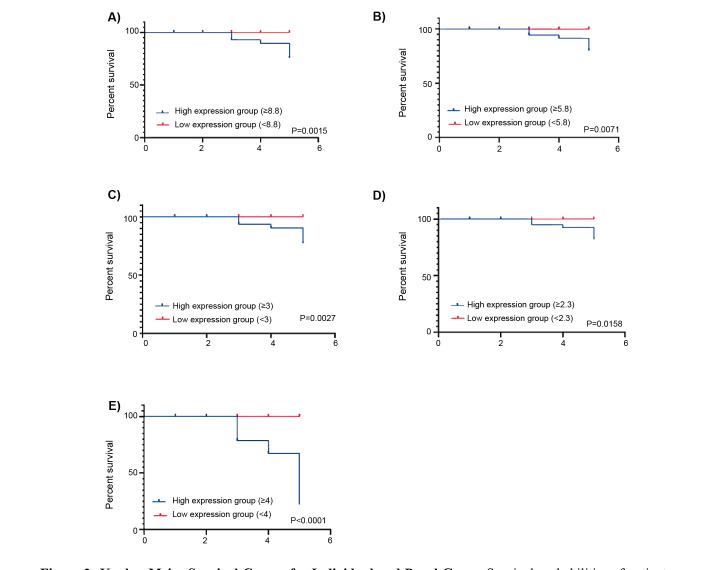 Prognostic Significance of <i>E2F8, LIN28b, MACC1</i>, and <i>CCT3</i> Genes in Breast Cancer: Implications for Survival and Therapeutic Stratification.