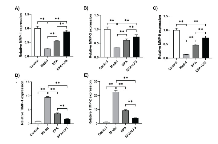 Eicosapentaenoic Acid Modulates TGF-β1/Smad3/ILK Pathway to Attenuate Renal Fibrosis: A Biotechnological Approach.