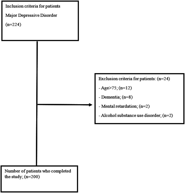 The Mediating Role of Somatic Symptoms in the Effect of Depression on Problem-Solving Skills.