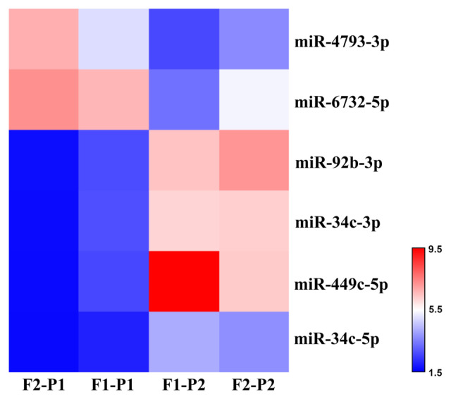 miRNA-target gene network analysis in siblings with cystic fibrosis and phenotypic variability.
