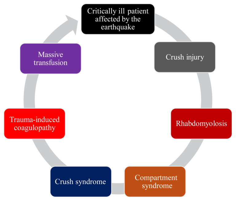 Management of critically ill patients following earthquake disasters.