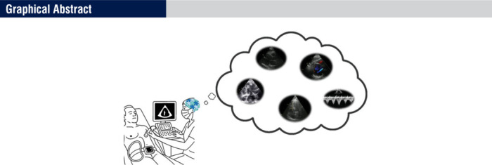 How to Do Echocardiography in Heart Failure Patients with Long-term Left Ventricular Assist Devices: A Consensus Statement of the Italian Society of Echocardiography and Cardiovascular Imaging.