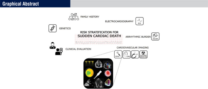 How to Do Echo in a Multimodality Approach to Assess the Risk of Sudden Death: A Consensus Statement of the Italian Society of Echocardiography and Cardiovascular Imaging.