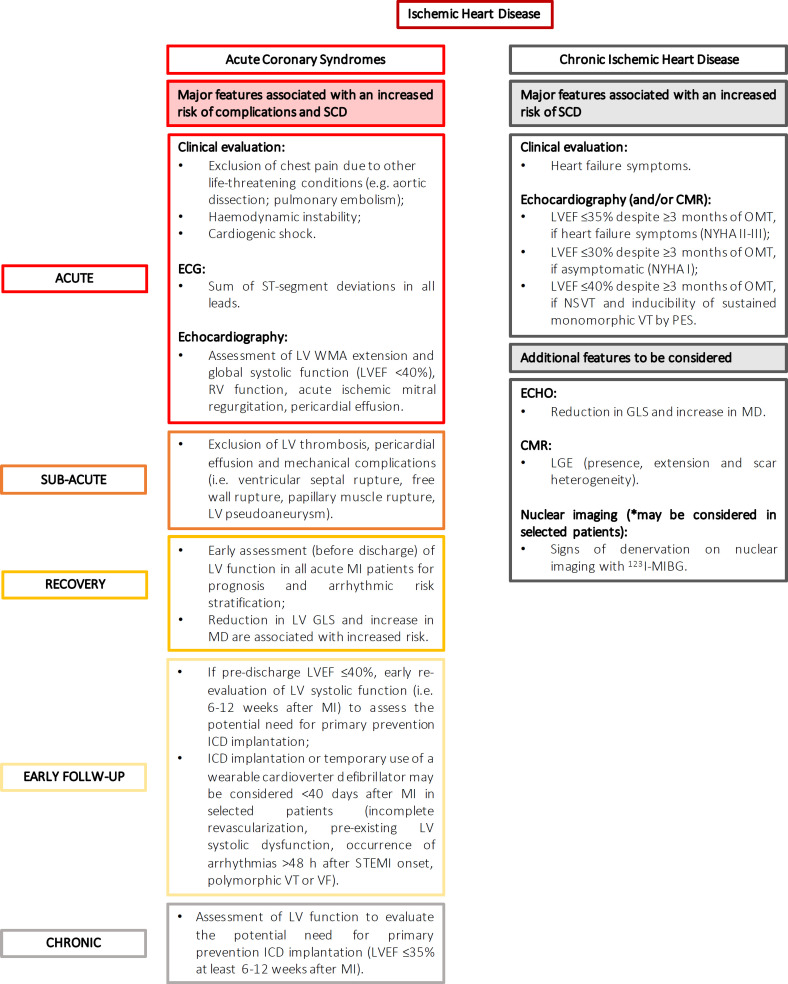 How to Do Echo in a Multimodality Approach to Assess the Risk of Sudden Death: A Consensus Statement of the Italian Society of Echocardiography and Cardiovascular Imaging.