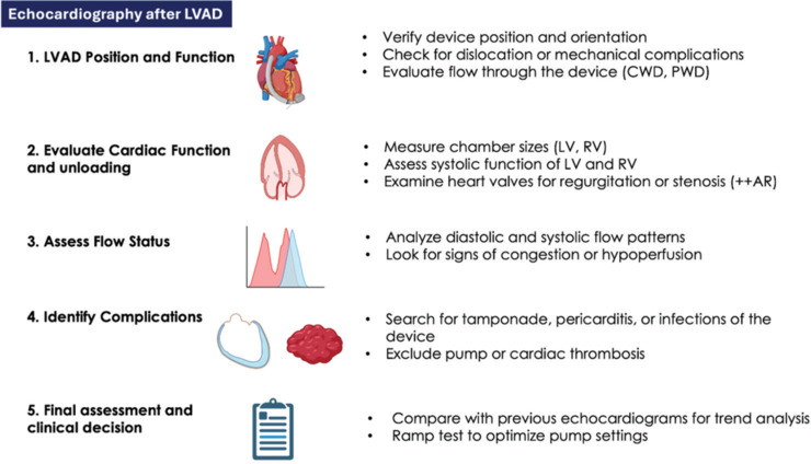 How to Do Echocardiography in Heart Failure Patients with Long-term Left Ventricular Assist Devices: A Consensus Statement of the Italian Society of Echocardiography and Cardiovascular Imaging.