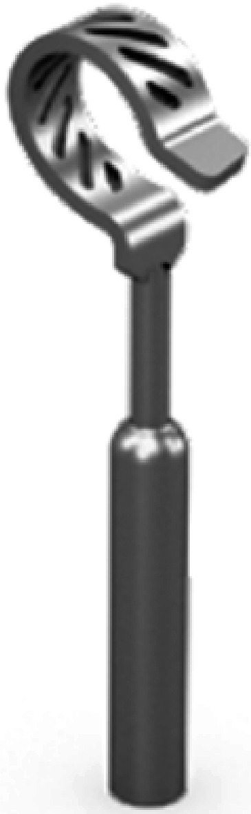 Comparison between MatriX and mAXIS titanium prosthesis in stapedotomy: prospective study and review of the literature.