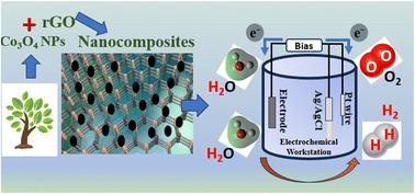 Psidium guajava mediated green synthesized cobalt oxide nanoparticles dispersed on reduced graphene oxide for electrocatalytic water splitting†