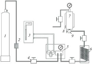 Obtaining Nanocomposition Materials Based on Thermodynamically Incompatible Polymers Using Supercritical Fluid Technologies