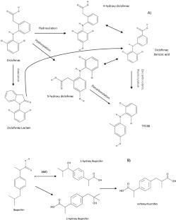 Pharmaceutical micropollutants removal and N2O production by nitrification process in SBR and SBBR: a review