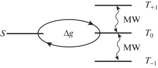 Current State of the Theory of Spin Chemistry: The Spin Chemistry Paradigm