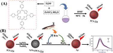 A fluorescent probe based on a luminescent metal–organic framework for the sensitive detection of histamine in aquatic products†