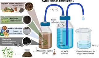 Enhancement of biogas production using nanostructured magnetite (Fe3O4) in a biodigester fed with Peruvian guinea pig manure†